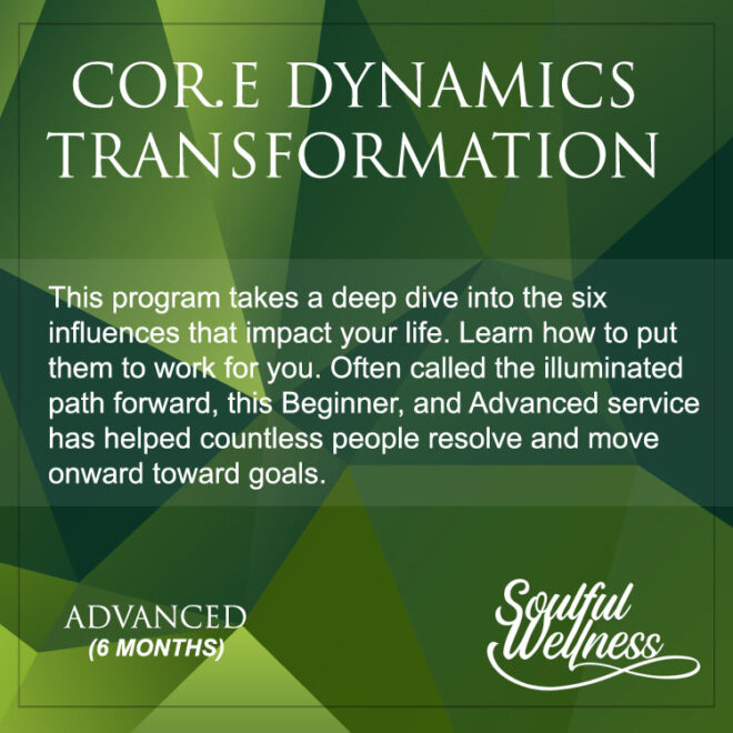 COR.E Dynamics Program - 6 months (Deep Dive)